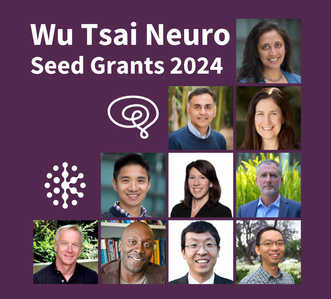 Neurosciences seed grants fuel research in childhood epilepsy, eating